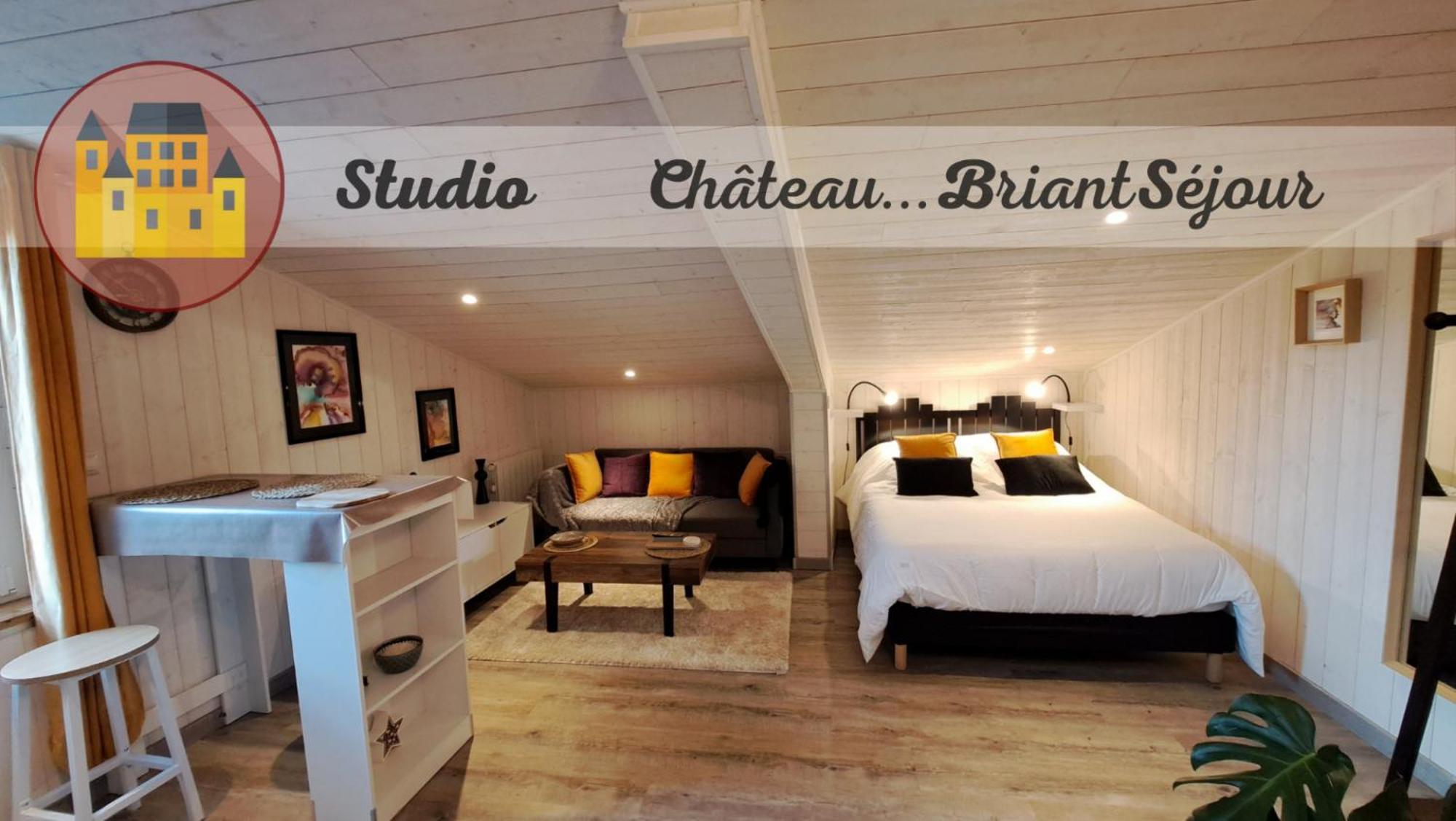 Appartement Studio-centre Châteaubriant