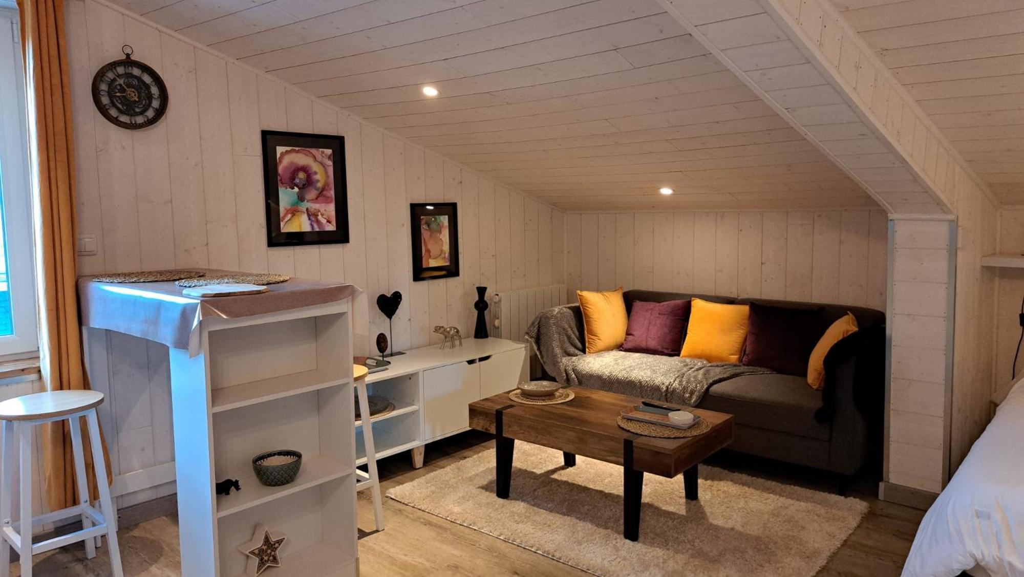 Appartement Studio-centre